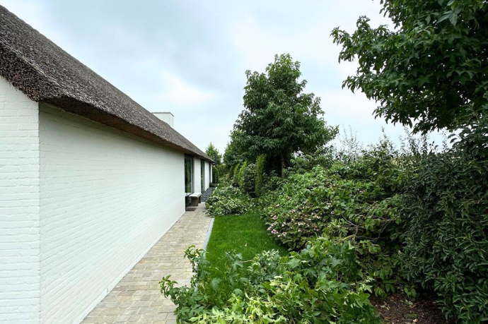tuin snoeien