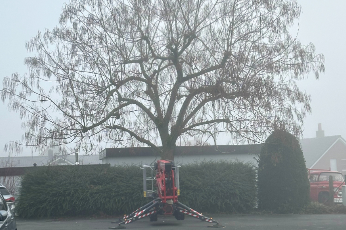 boom snoeien