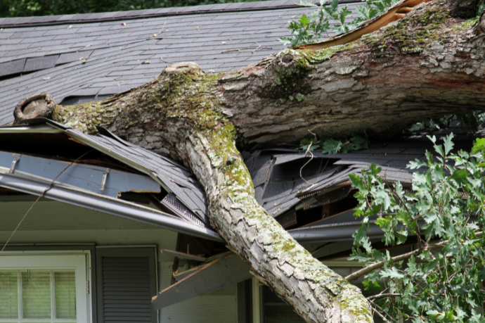 boom op huis na storm