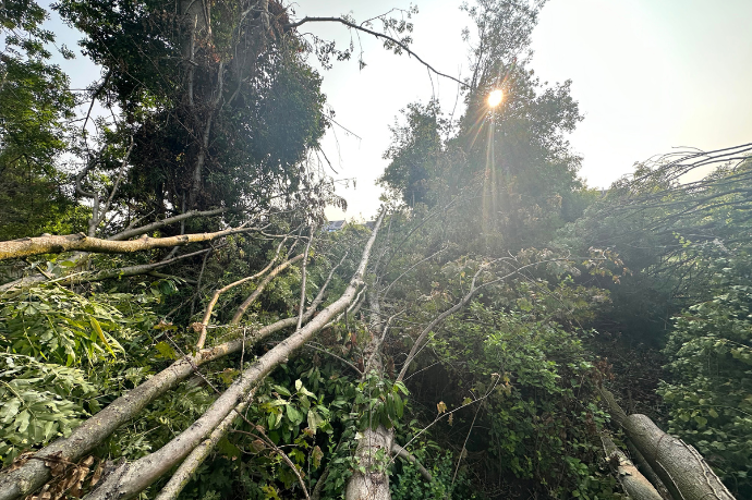 stormschade