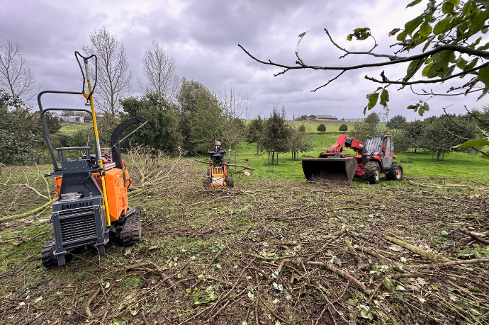 terrein opruimen na storm 