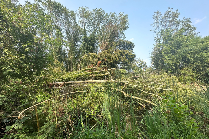 stormschade