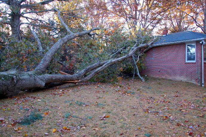 boom op woning na storm