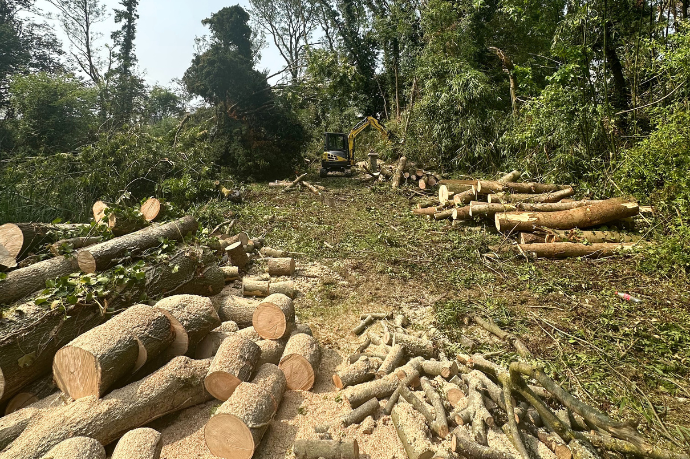 stormschade opruimen