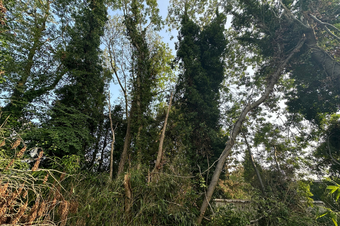 stormschade 