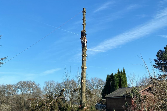 boomverzorger in boom
