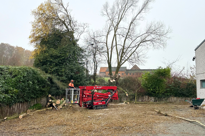 bomen vellen