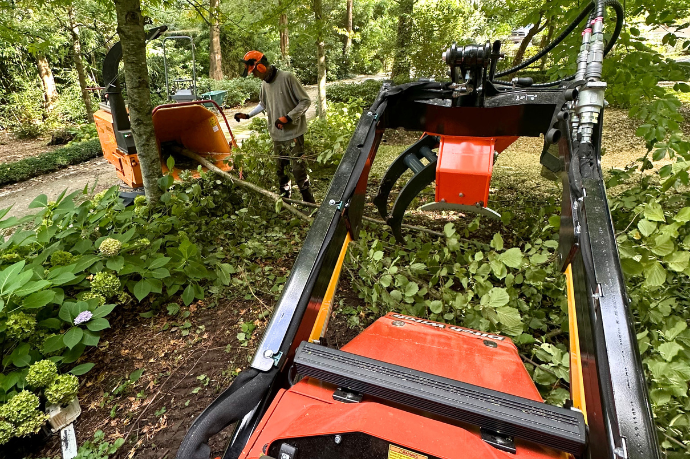 Opruimen gevelde bomen
