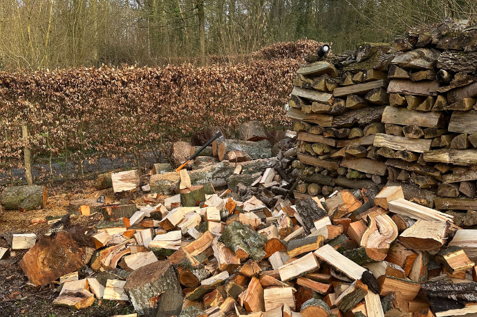 hout in blokken na bomen vellen