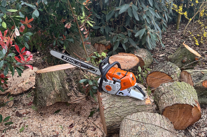 bomen vellen